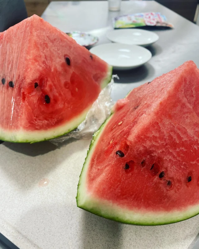 梅雨明けしましたね☀️

今日も暑い中、おつかれさまでした✨
差し入れのスイカ🍉をみんなで頂きました✨
夏の始まりですね💦水分補給しながらそれぞれのペースで頑張りましょう☺️🌺

#就労支援Ｂ型#長瀬#ルミナス#俊徳道#福祉施設#障害者支援#東大阪#太平寺#利用者募集#ホットドッグカフェ